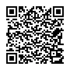 Codice QR per il numero di telefono +22793013277