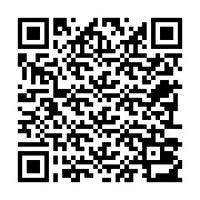 QR-код для номера телефона +22793013299