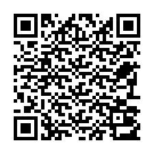 QR Code pour le numéro de téléphone +22793013303