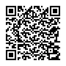 QR-Code für Telefonnummer +22793013306