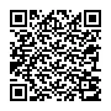 Código QR para número de telefone +22793013308