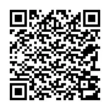 Codice QR per il numero di telefono +22793013311