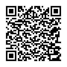 Kode QR untuk nomor Telepon +22793013315