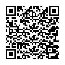 Código QR para número de teléfono +22793013318