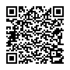 Código QR para número de teléfono +22793013322