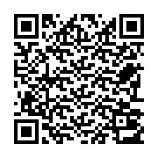 电话号码二维码 +22793013327