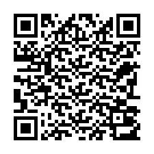 Código QR para número de telefone +22793013331