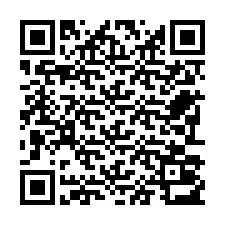 Kode QR untuk nomor Telepon +22793013337