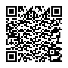 QR-code voor telefoonnummer +22793013340