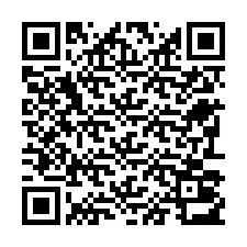 电话号码二维码 +22793013352