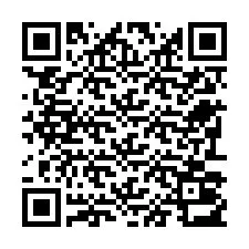 Kode QR untuk nomor Telepon +22793013356