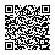 Kode QR untuk nomor Telepon +22793013358