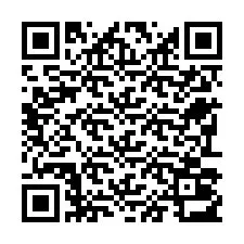 電話番号のQRコード +22793013362