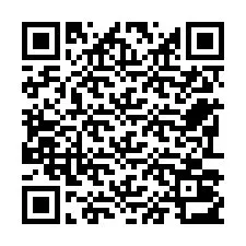 QR Code pour le numéro de téléphone +22793013367