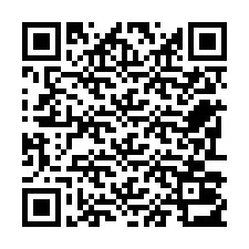 Código QR para número de telefone +22793013377