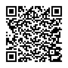 QR-code voor telefoonnummer +22793013378