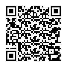 Código QR para número de teléfono +22793013402