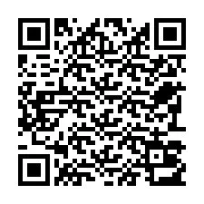 Kode QR untuk nomor Telepon +22793013413