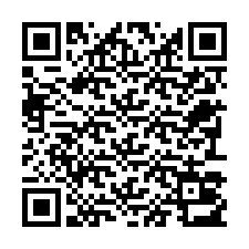 Codice QR per il numero di telefono +22793013419