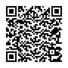 QR Code pour le numéro de téléphone +22793013423