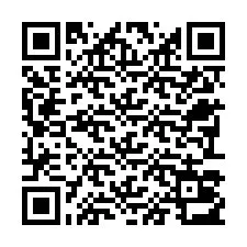 Codice QR per il numero di telefono +22793013428