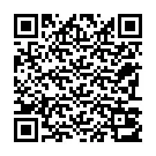 Codice QR per il numero di telefono +22793013431