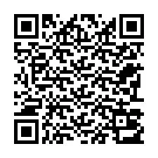 QR Code pour le numéro de téléphone +22793013435