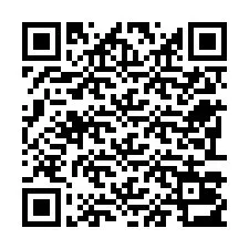 QR-Code für Telefonnummer +22793013436