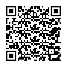 Codice QR per il numero di telefono +22793013437