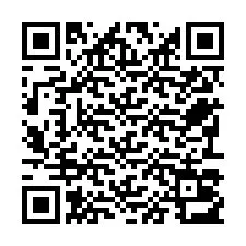 Código QR para número de telefone +22793013443