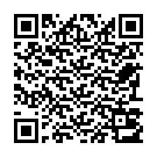 Codice QR per il numero di telefono +22793013447