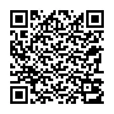 电话号码二维码 +22793013450