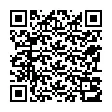 Codice QR per il numero di telefono +22793013452