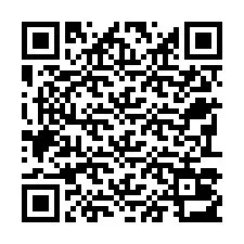 Codice QR per il numero di telefono +22793013460