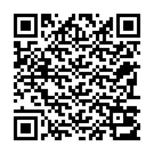 QR-код для номера телефона +22793013461