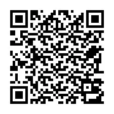 QR-код для номера телефона +22793013463