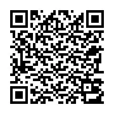 电话号码二维码 +22793013464