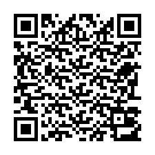 Codice QR per il numero di telefono +22793013476