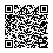 QR-Code für Telefonnummer +22793013496