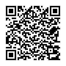 Codice QR per il numero di telefono +22793013497