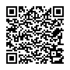 QR-код для номера телефона +22793013517