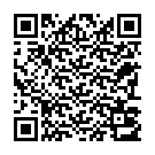电话号码二维码 +22793013521