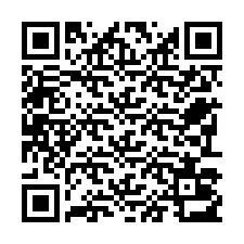 QR-code voor telefoonnummer +22793013533