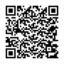 QR Code for Phone number +22793013536