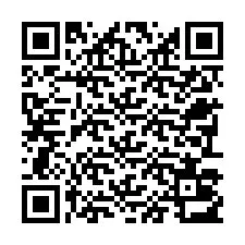 QR-code voor telefoonnummer +22793013538