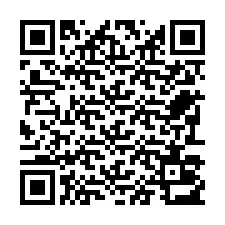 Código QR para número de teléfono +22793013557