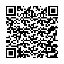 Codice QR per il numero di telefono +22793013561