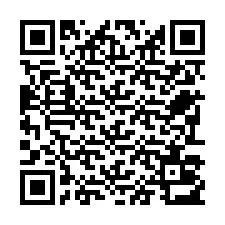 Código QR para número de teléfono +22793013563