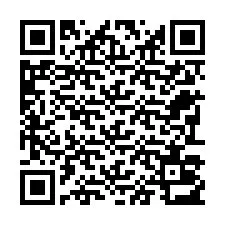 Código QR para número de teléfono +22793013565