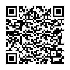 Codice QR per il numero di telefono +22793013566